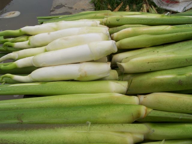 这种在水里长的"蔬菜"你吃过也不认识,10个人9个人说不出名字