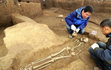 江苏省资讯|江苏发现一座项羽墓?