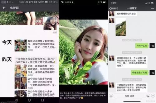 "漂亮茶小妹"茶叶骗局的背后,或是人工智能助纣为虐!