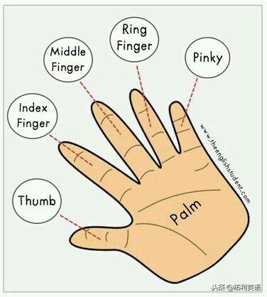 博士妈妈1分钟教会女儿读英文句子:只含一个单词的句子