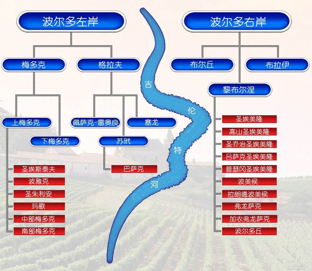 一篇文章看懂1855法國酒莊分級制度,挑波爾多紅酒不再被奸商忽悠