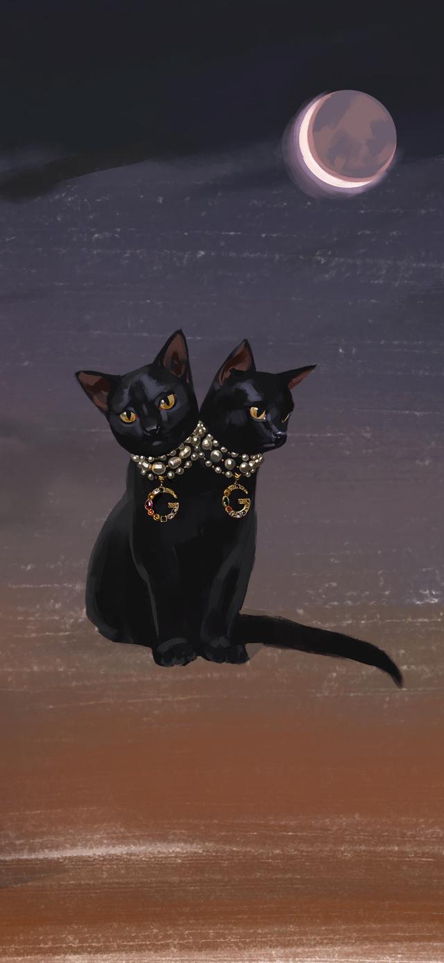 生活在阴沟里,依然有仰望星空的权利!超有逼格的gucci手机壁纸