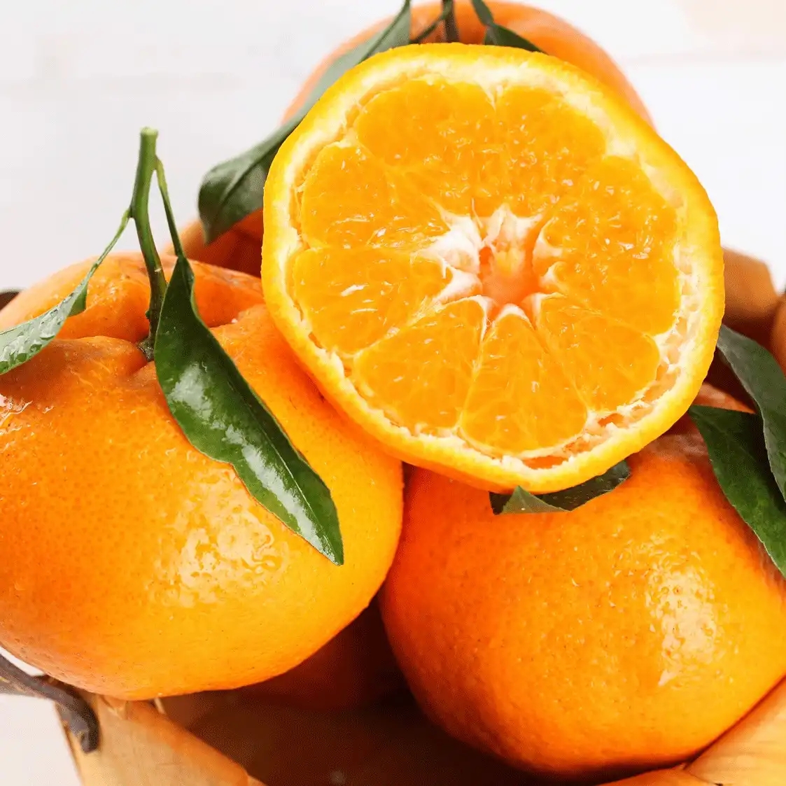 四川耙耙柑 - 2020年最新商品信息聚合专区 - 百度爱采购