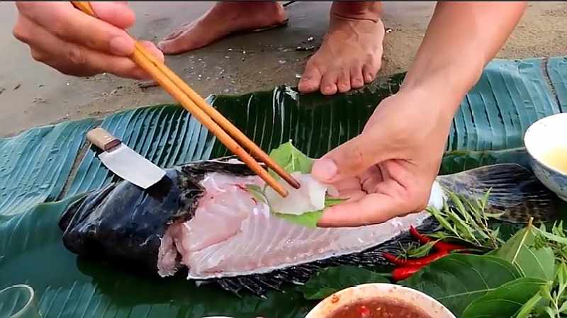 刚钓上来的石斑鱼 皮剥了把肉割下蘸酱就吃 鱼还会动 好看视频