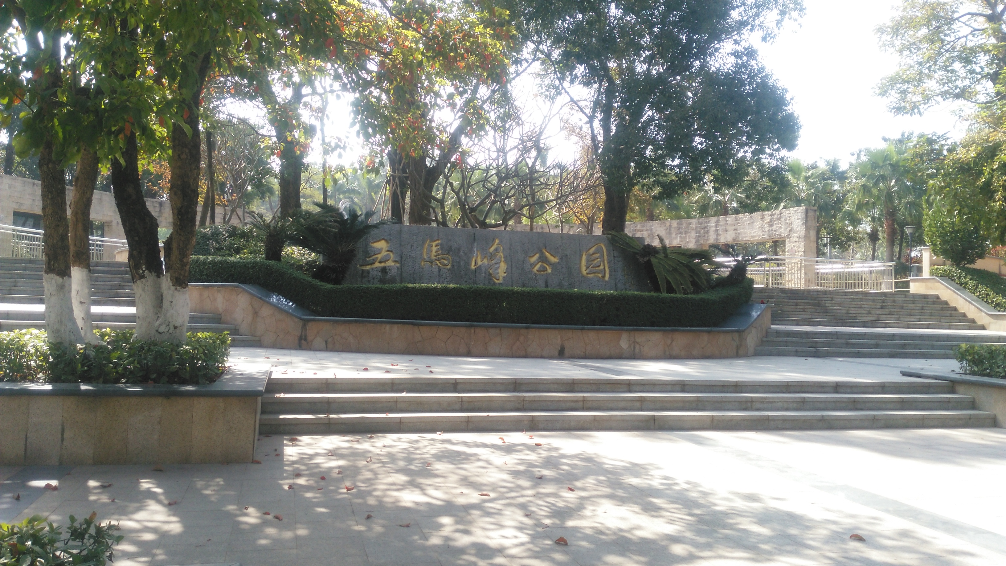 带你们到深圳坑梓的五马峰公园去走走啦