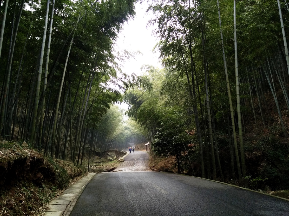 年末的宜兴铜官山大环线穿越活动,我没迟疑就报了名.