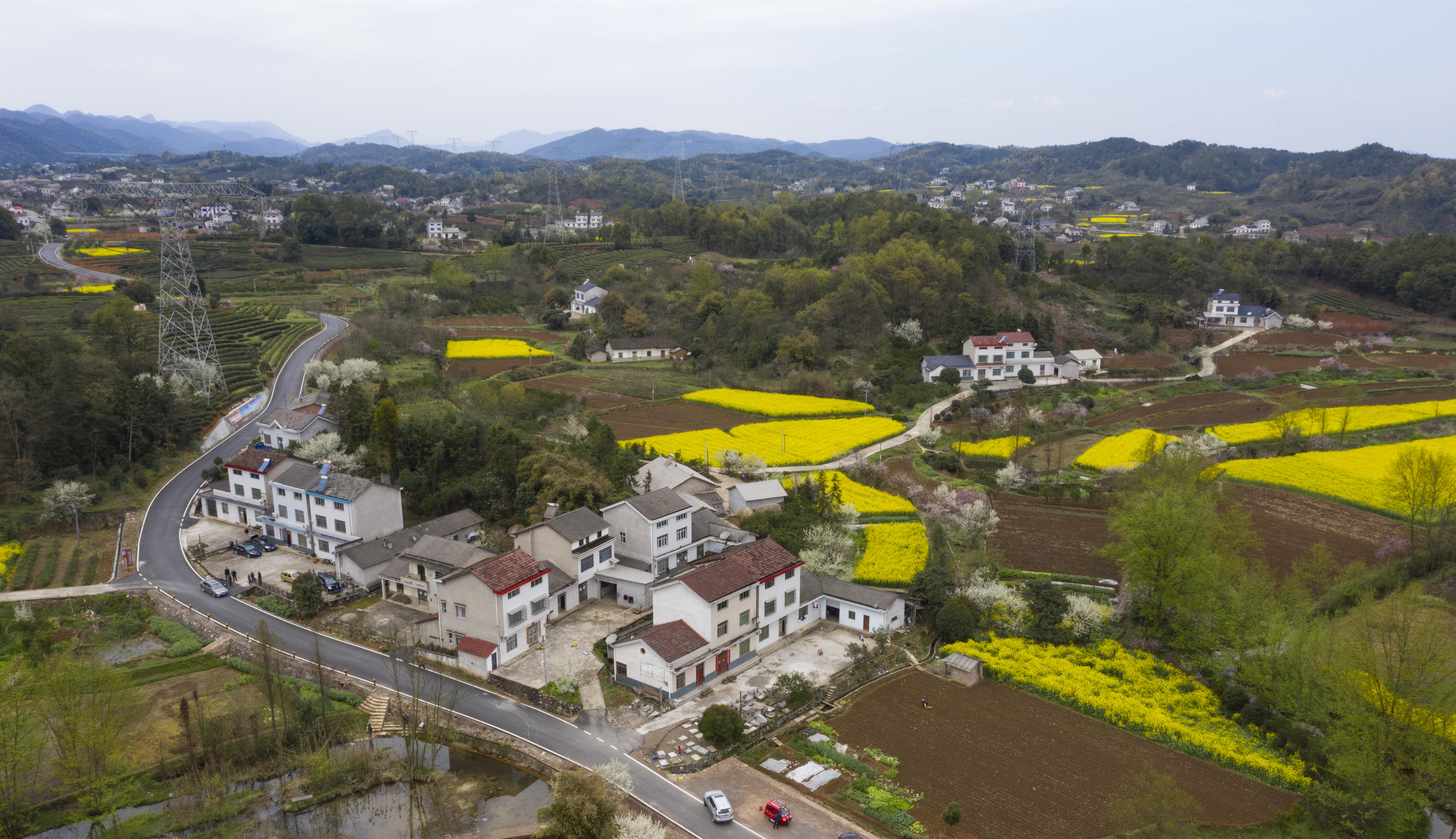 此次活动是由宜都市枝城镇人民政府,宜昌市摄影家协会,宜都市摄影家