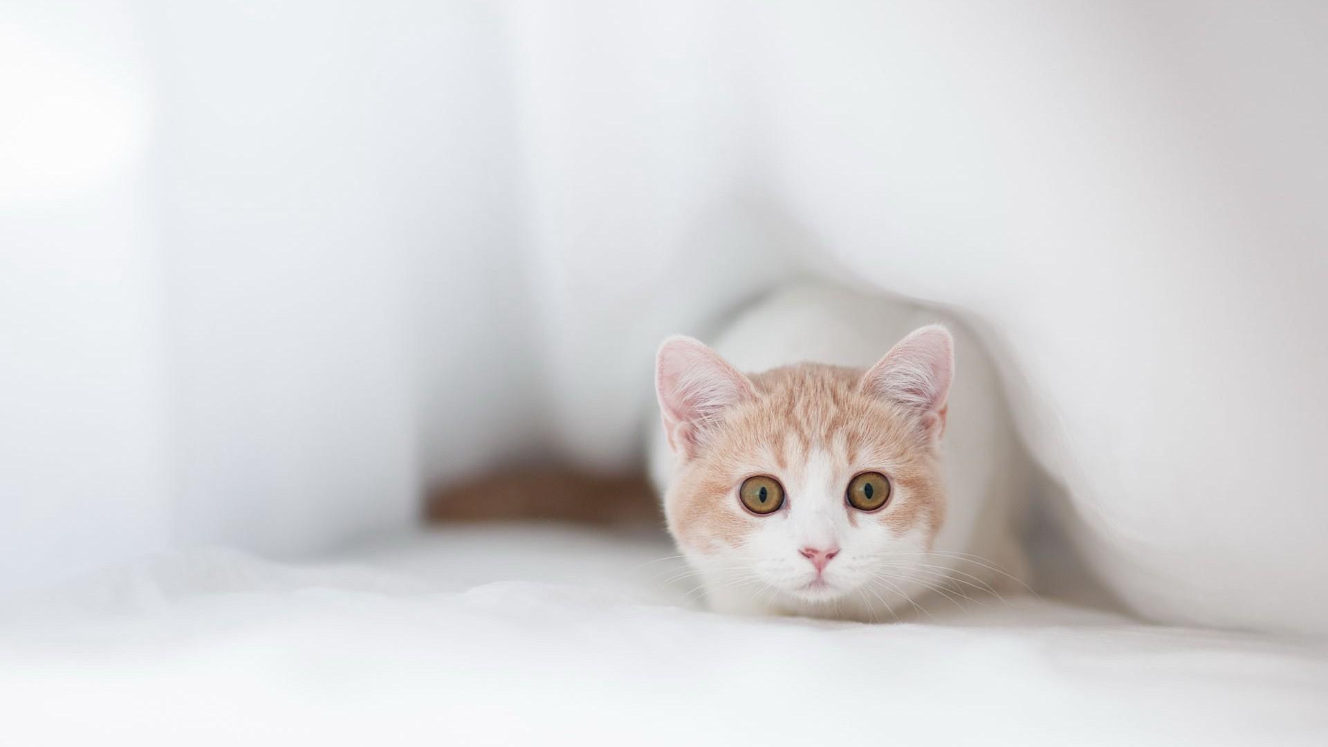 熬过了异地恋,就是一辈子