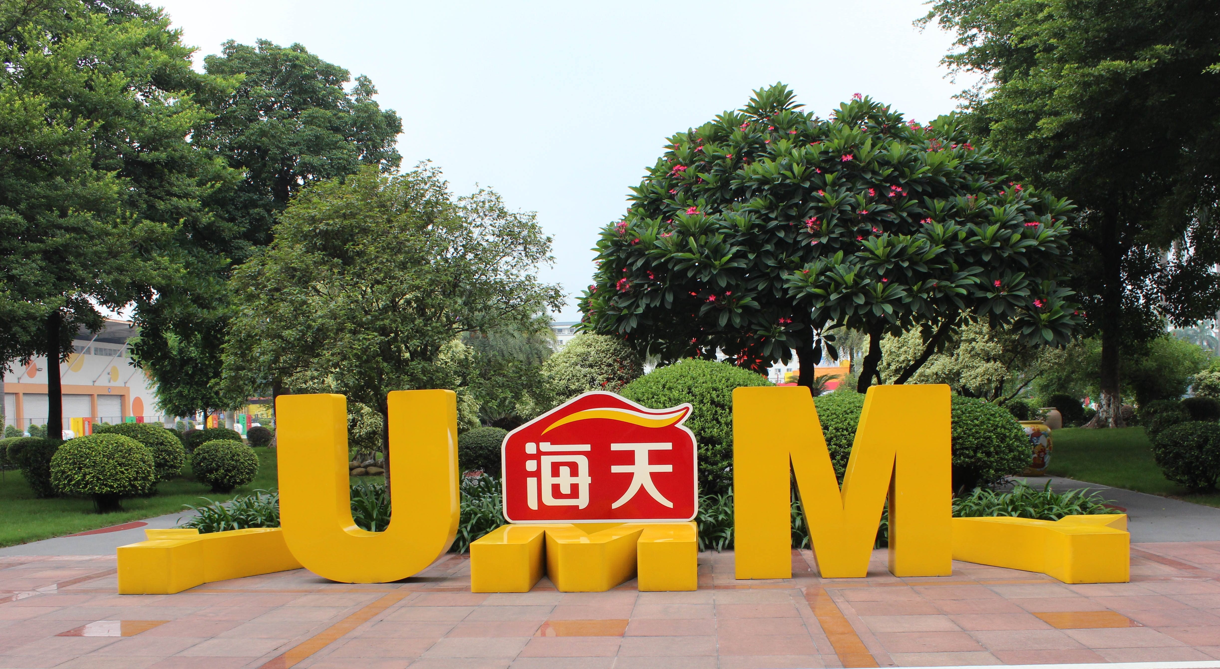 提升品质重品牌,海天酱油借助综艺节目向年轻消费者进军