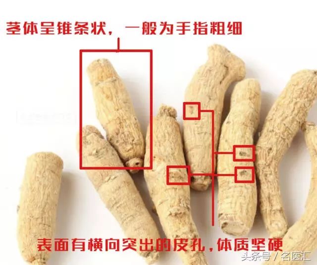 党参,人参,西洋参,从功效到外观教你如何辨别(一)
