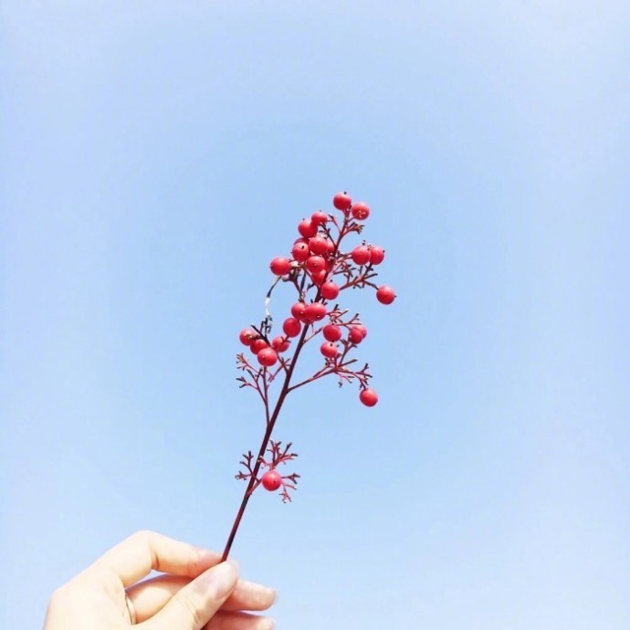 微信吸引人评论的句子,句句说到心坎上,帮你提升情商!
