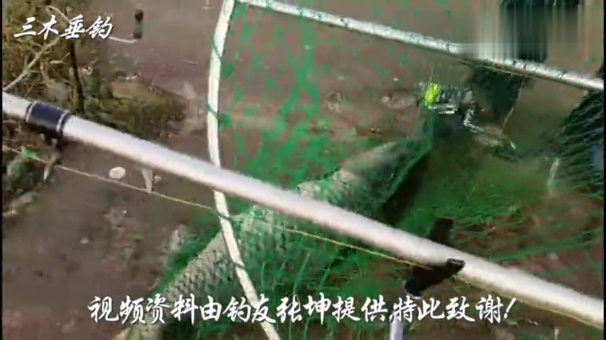 渔获现场:钓友张坤河北曲阳王快水库喜获30斤大鲤鱼!