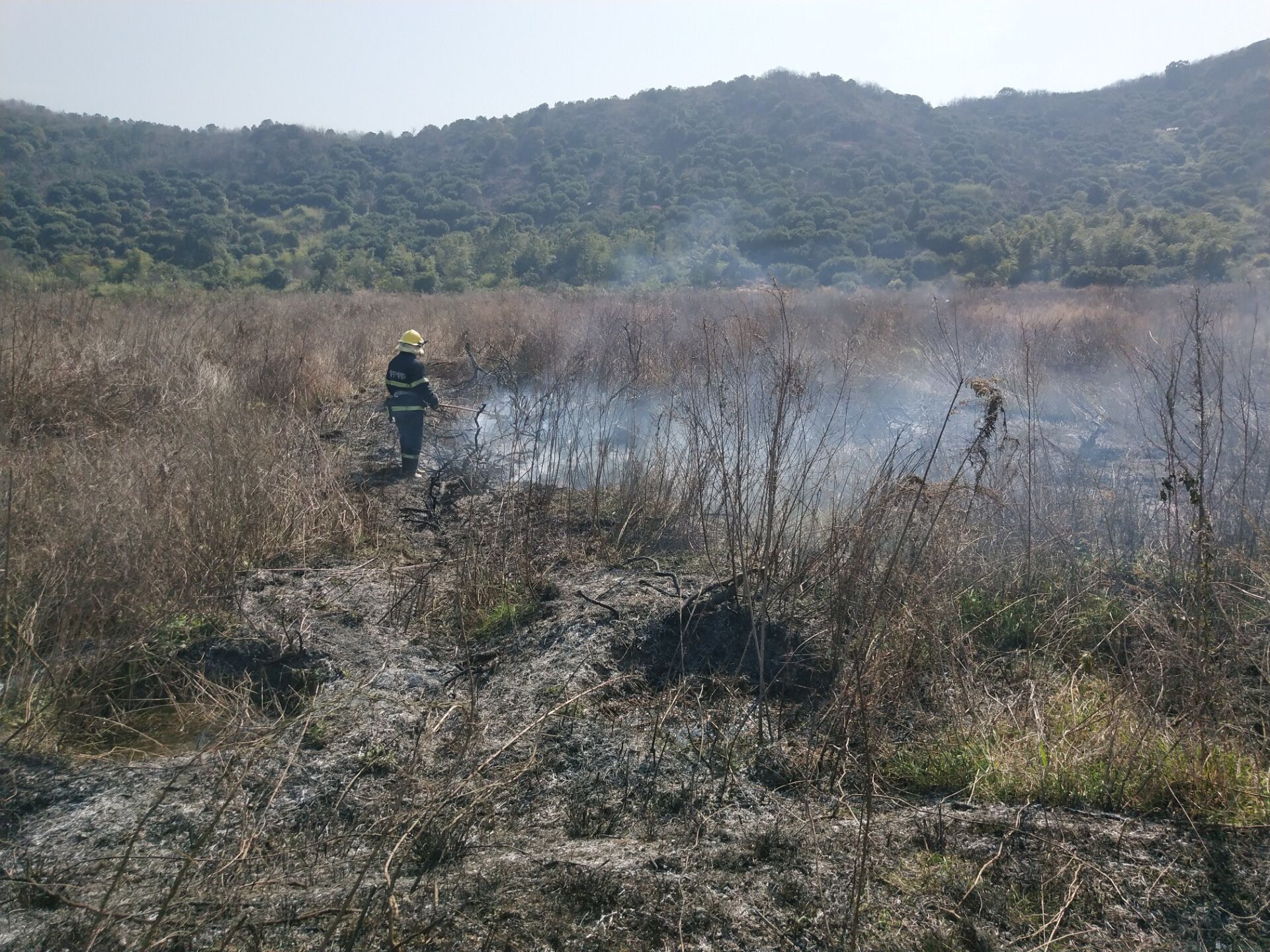 山脚野草大面积起火 海宁消防紧急灭火保平安