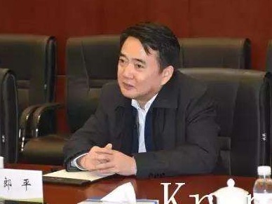 安徽慈湖高新技术产业开发区管委会原主任郎平被双开