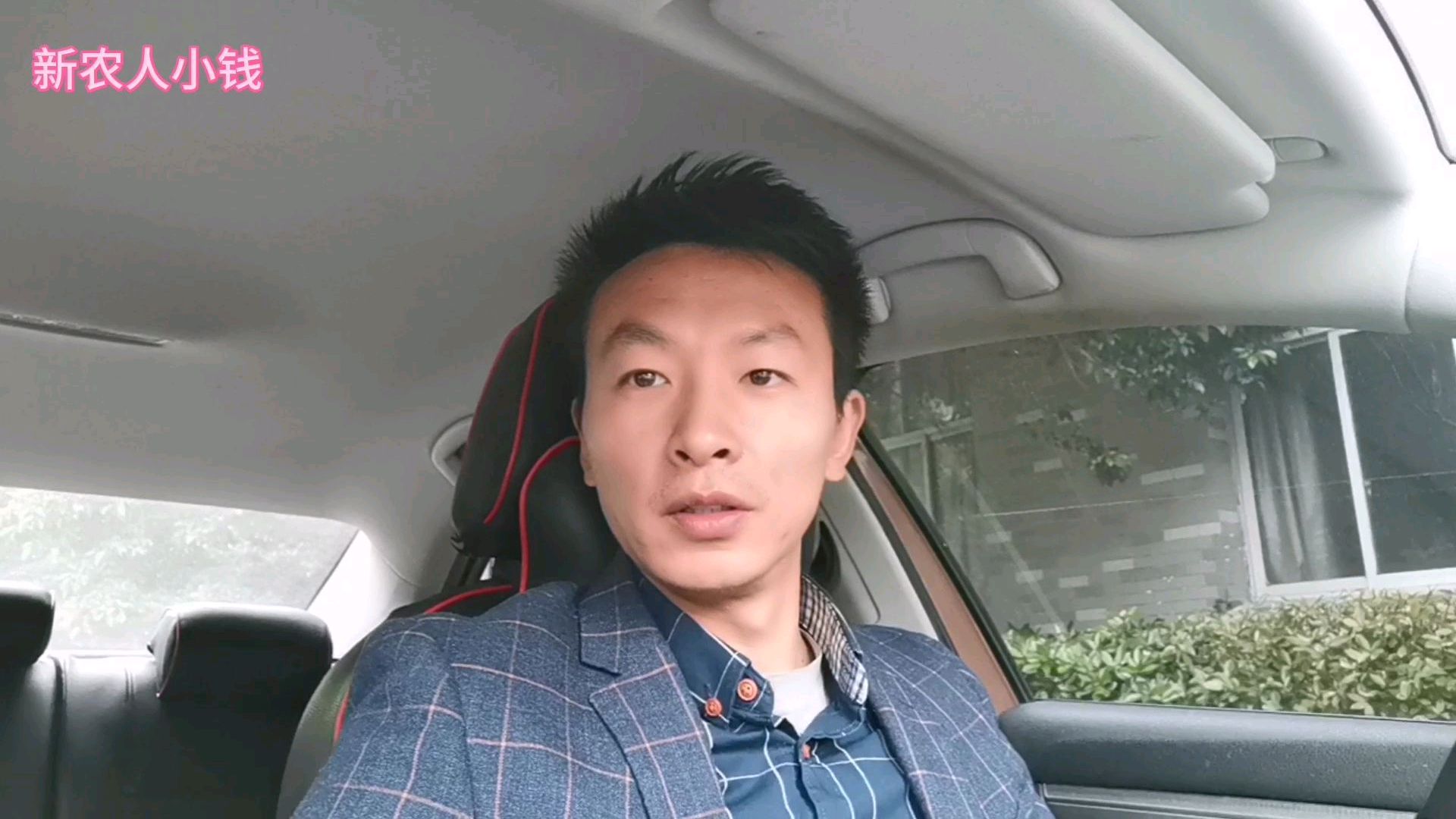 仙居鸡,新手小钱第一次养鸡,开车来回4个多小时,特地就为这个鸡