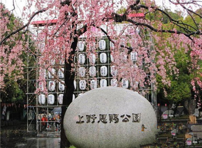 日本这个地方真的很美,很值得去