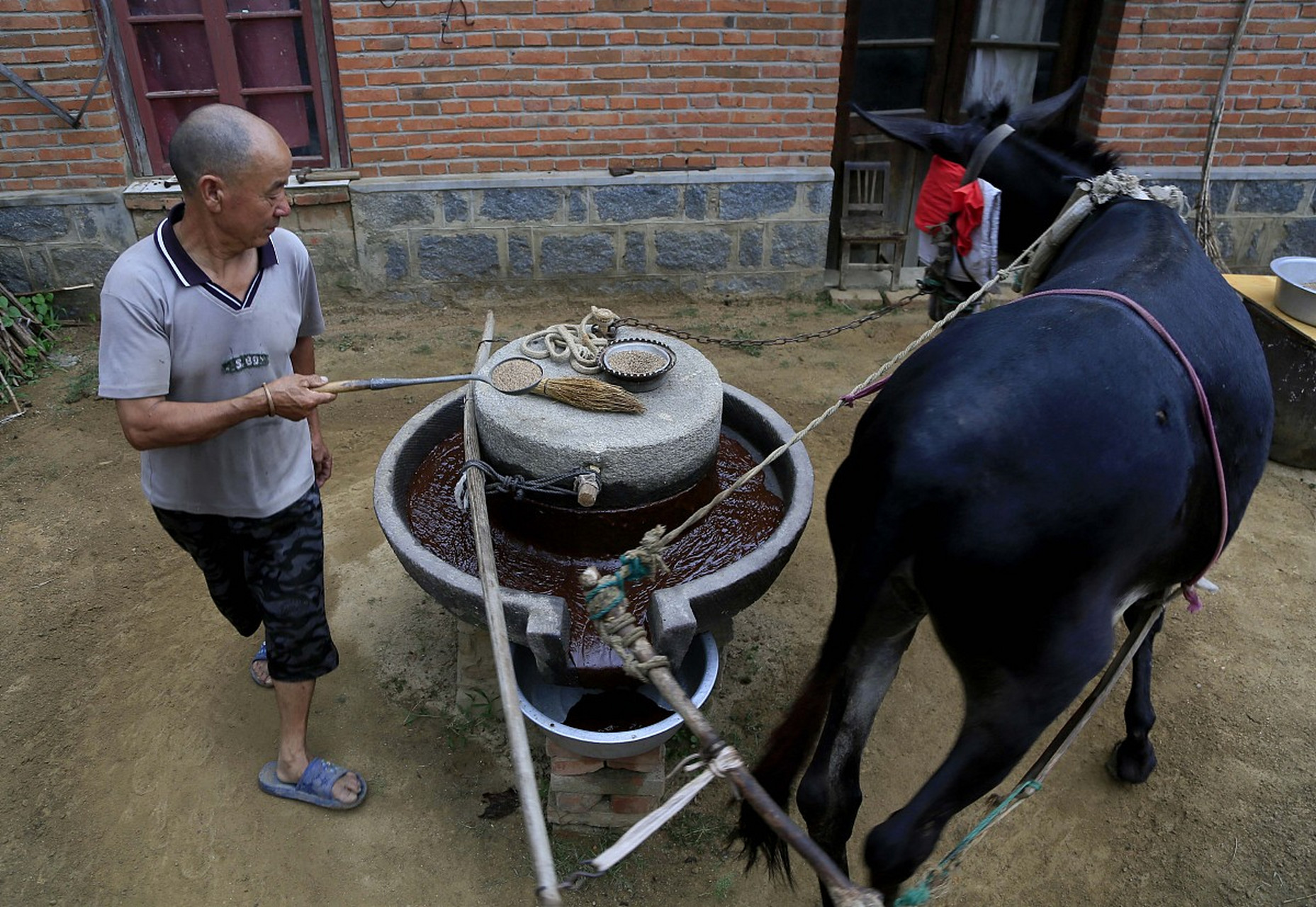 如果你想成为作家,你就想作家该想的问题,做作家该做的事.