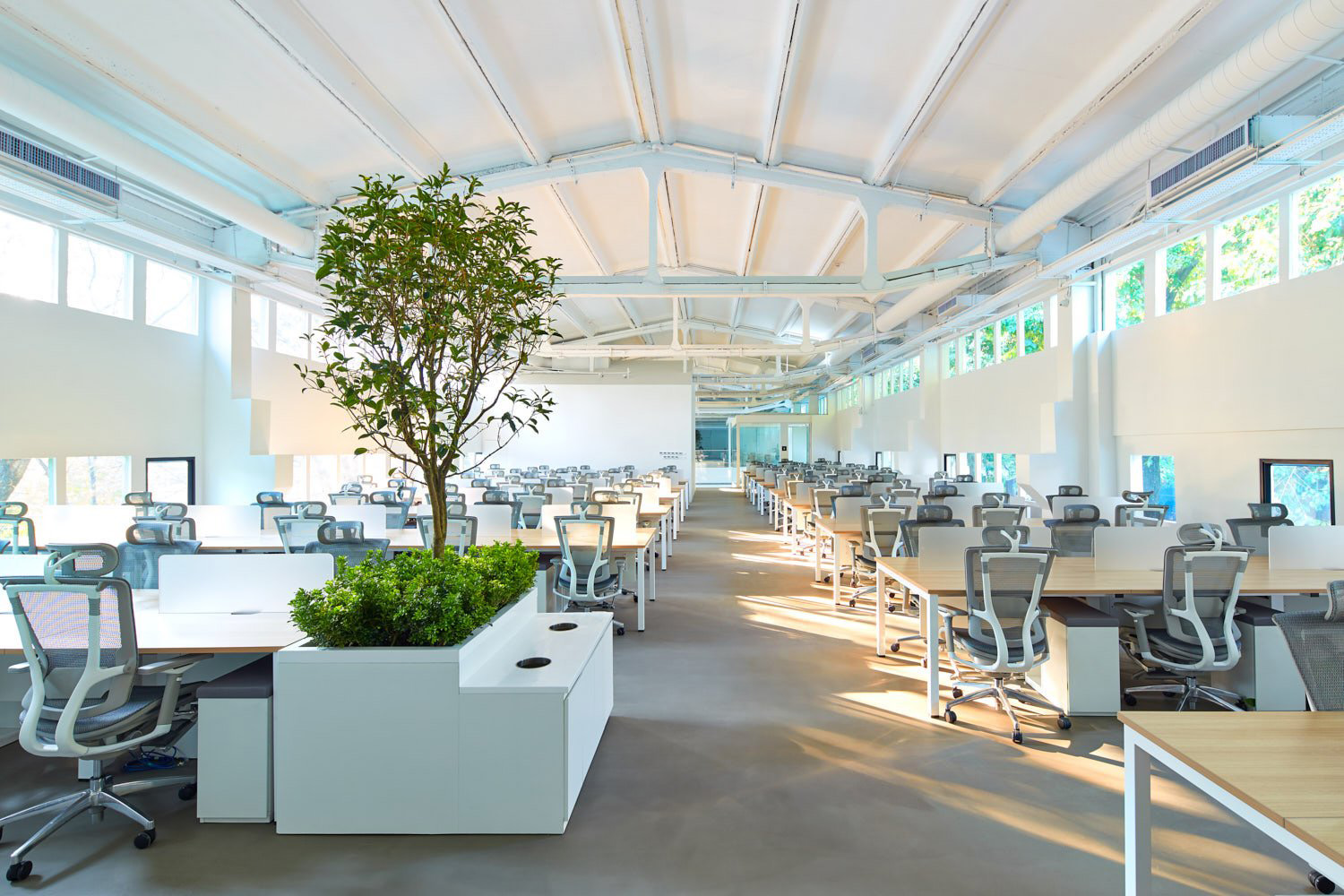 办公环境的影响有多大?研究表明:工作环境直接影响员工的敬业度