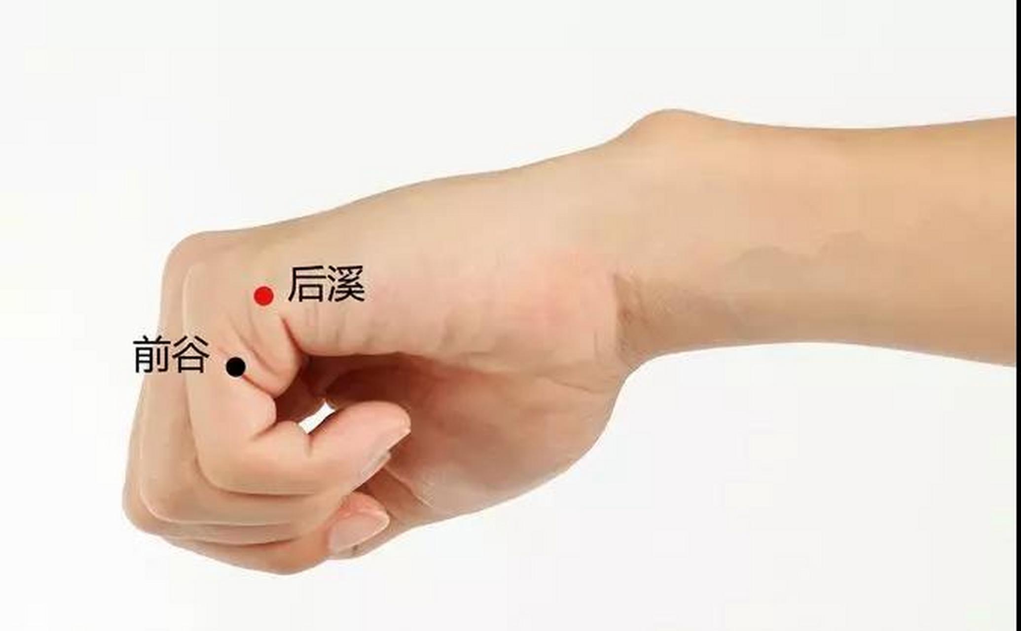 后溪,属手太阳小肠经,八脉交会穴之一,通督脉.后,与前相对,指穴内气血