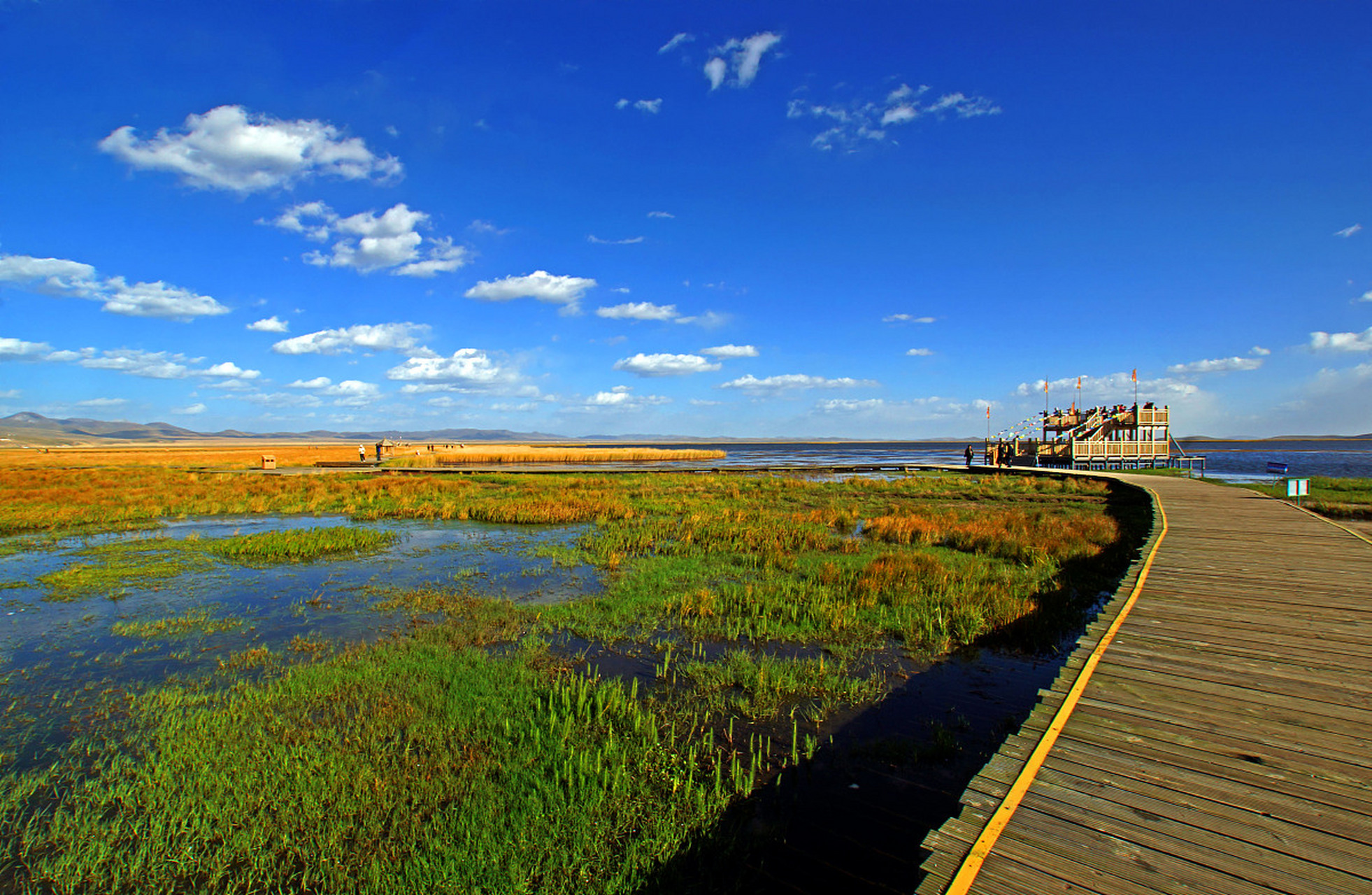 德令哈市的巴音河,藏在柴达木盆地的璀璨明珠!