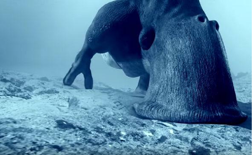 冥王星上发现"蜗牛",还有疑似爬行的痕迹,这会是外星生命吗?