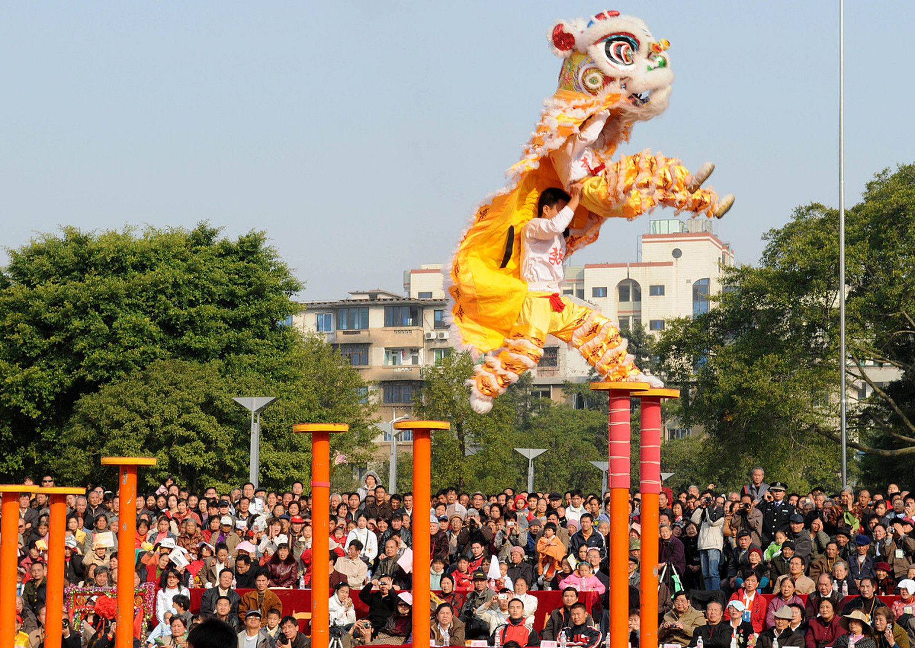 这些形容词生动形象地描述了狮子抢球的场景,让读者更好地理解和想象.