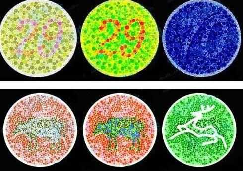 多數人都看不懂的色盲檢測圖,我先來:除了圖2其他都看不懂