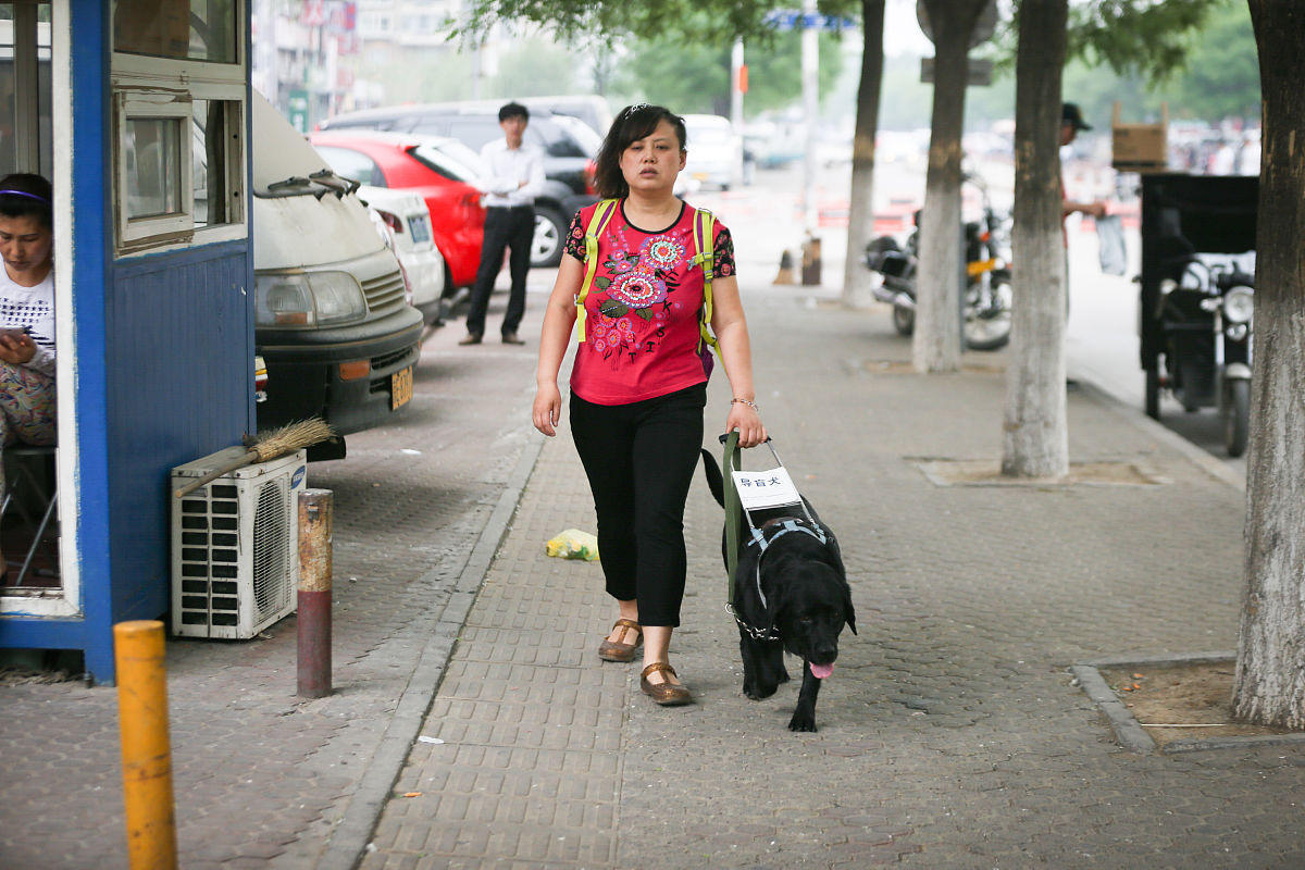 她的名字叫陈燕,我国首位女性盲人钢琴调音师