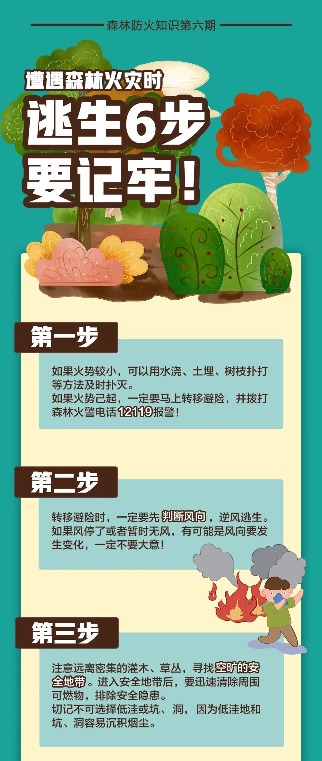 遭遇森林火灾时,逃生6步要记牢!