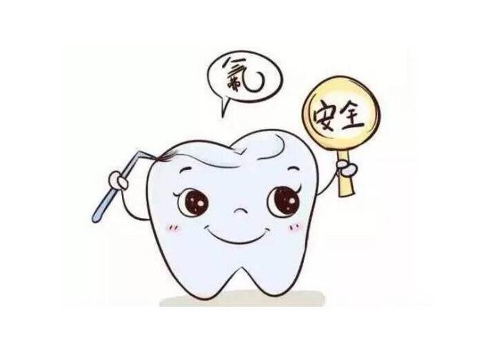 爱孩子,从口腔开始,你知道什么是切牙,尖牙和磨牙吗?
