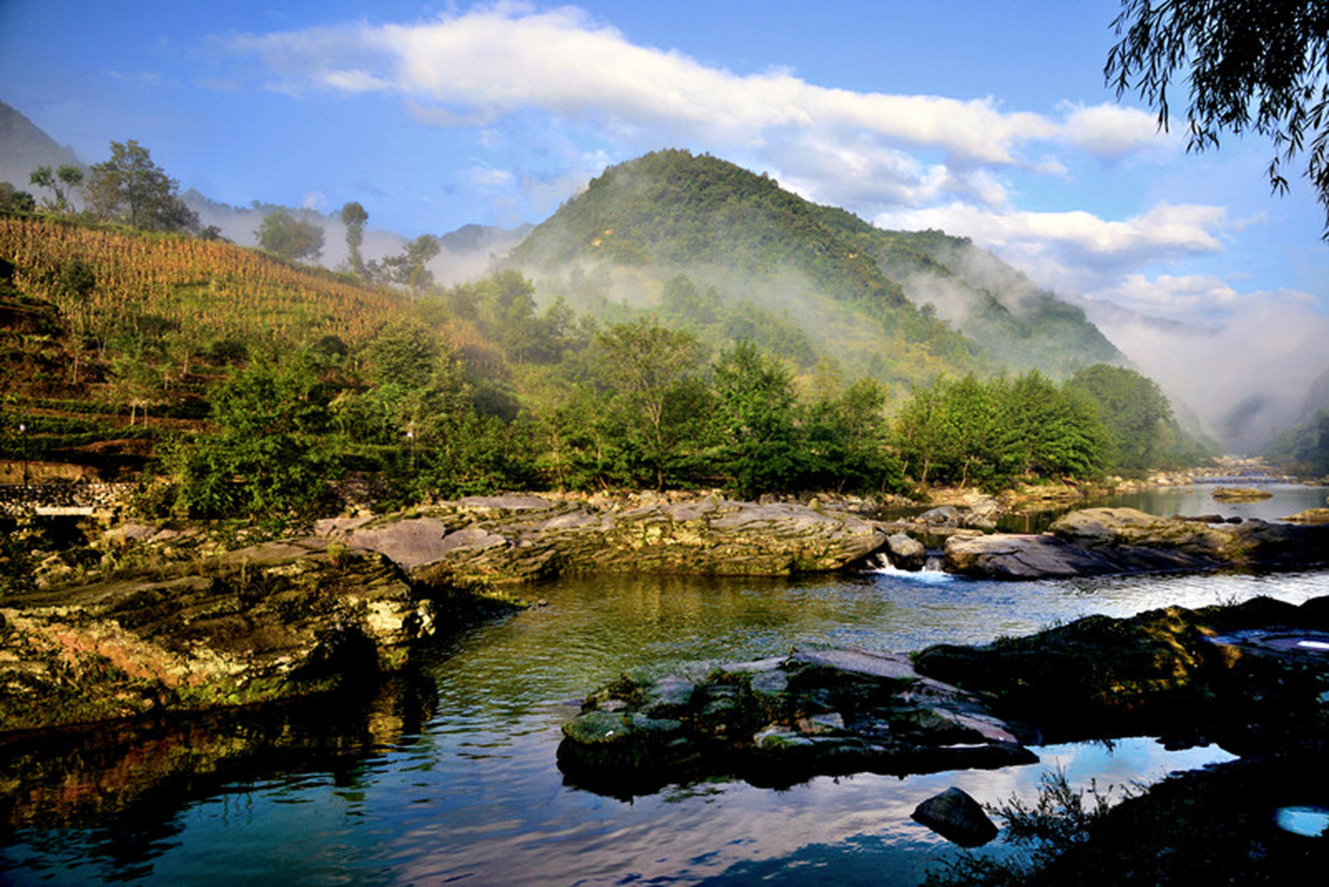 嗨一起去陇南#【阳坝生态旅游风景区】康县阳坝生态旅游风景区位于