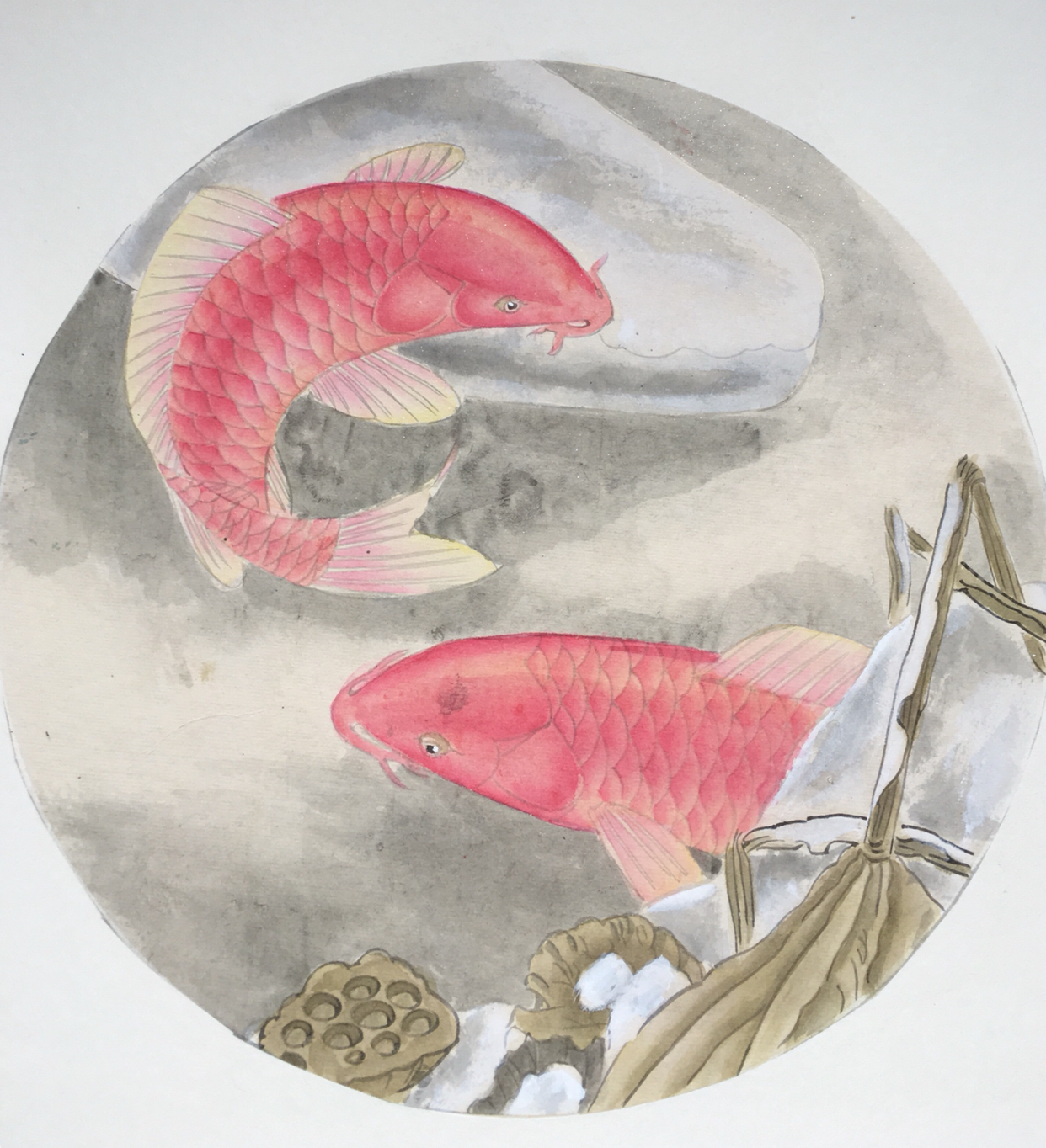 工笔荷花锦鲤临摹