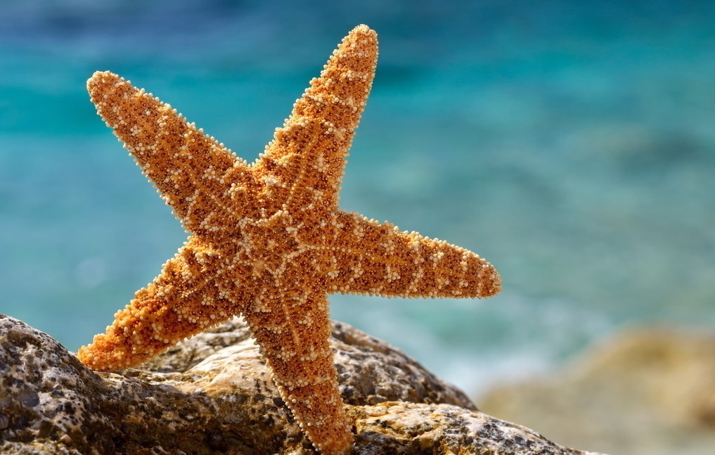 10个趣味冷知识!北京时间不是"北京的时间"?