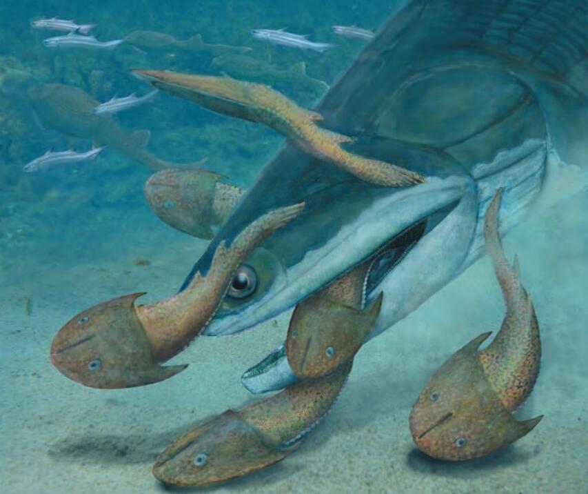 大鱼演化史——志留纪(4亿年前)初始全颌鱼