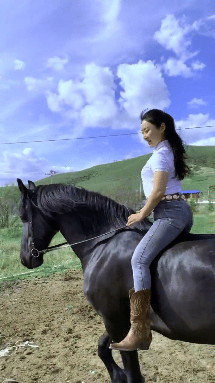 紧身裤 - 热门商品专区