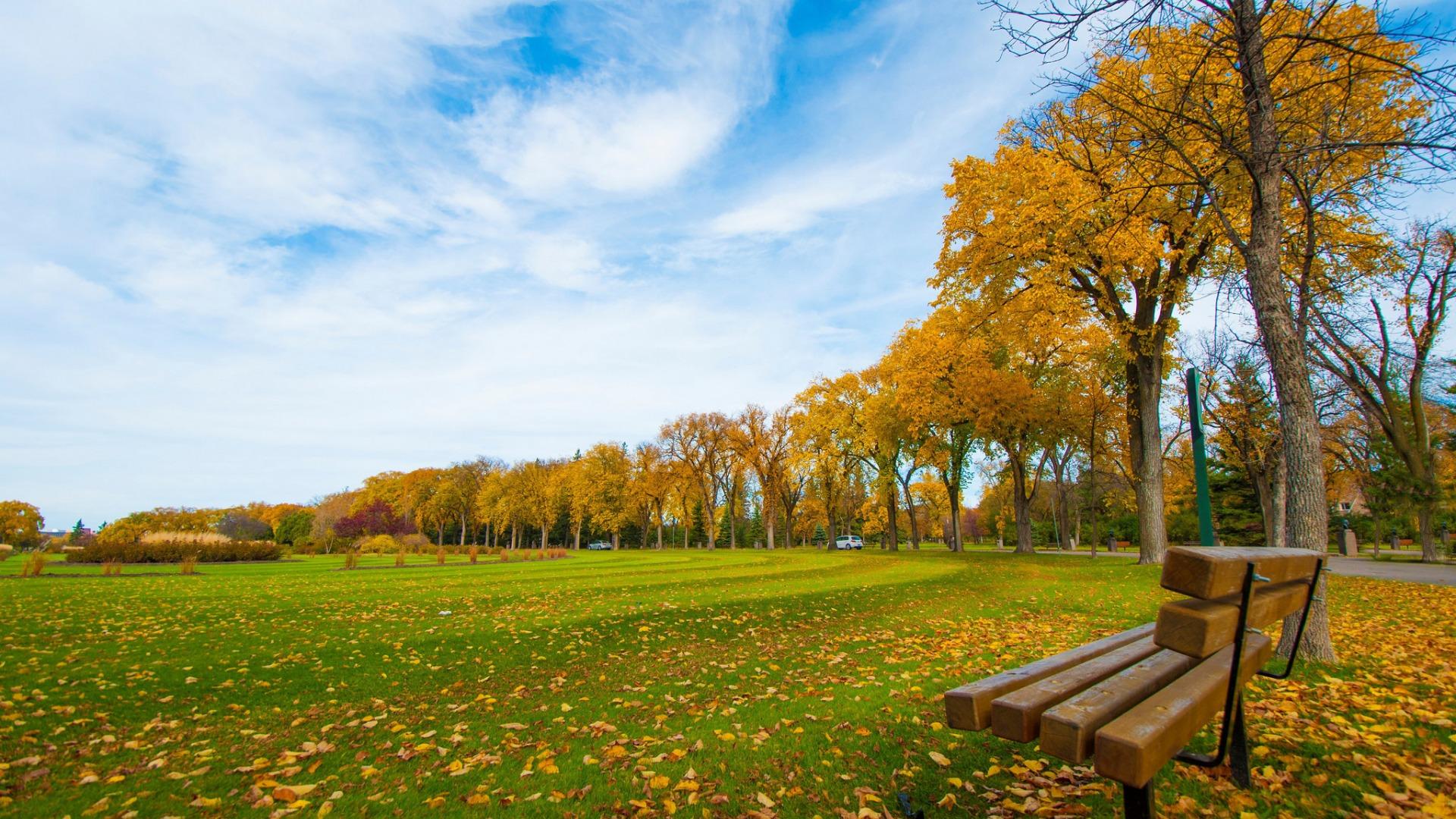 易经中的第三卦"屯卦"——艰难开端的处世智慧