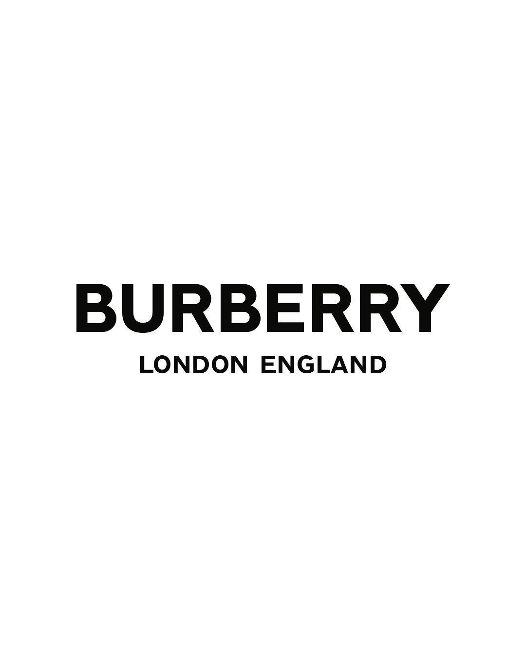 burberry新标志图片