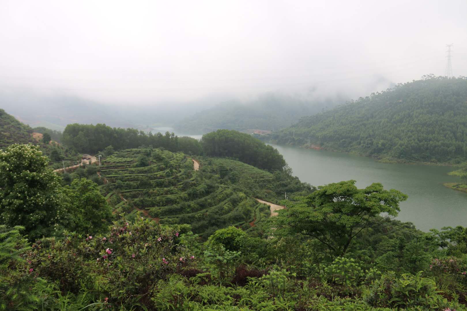 绘香——福建省漳州市云霄县(作者:林榕庆)