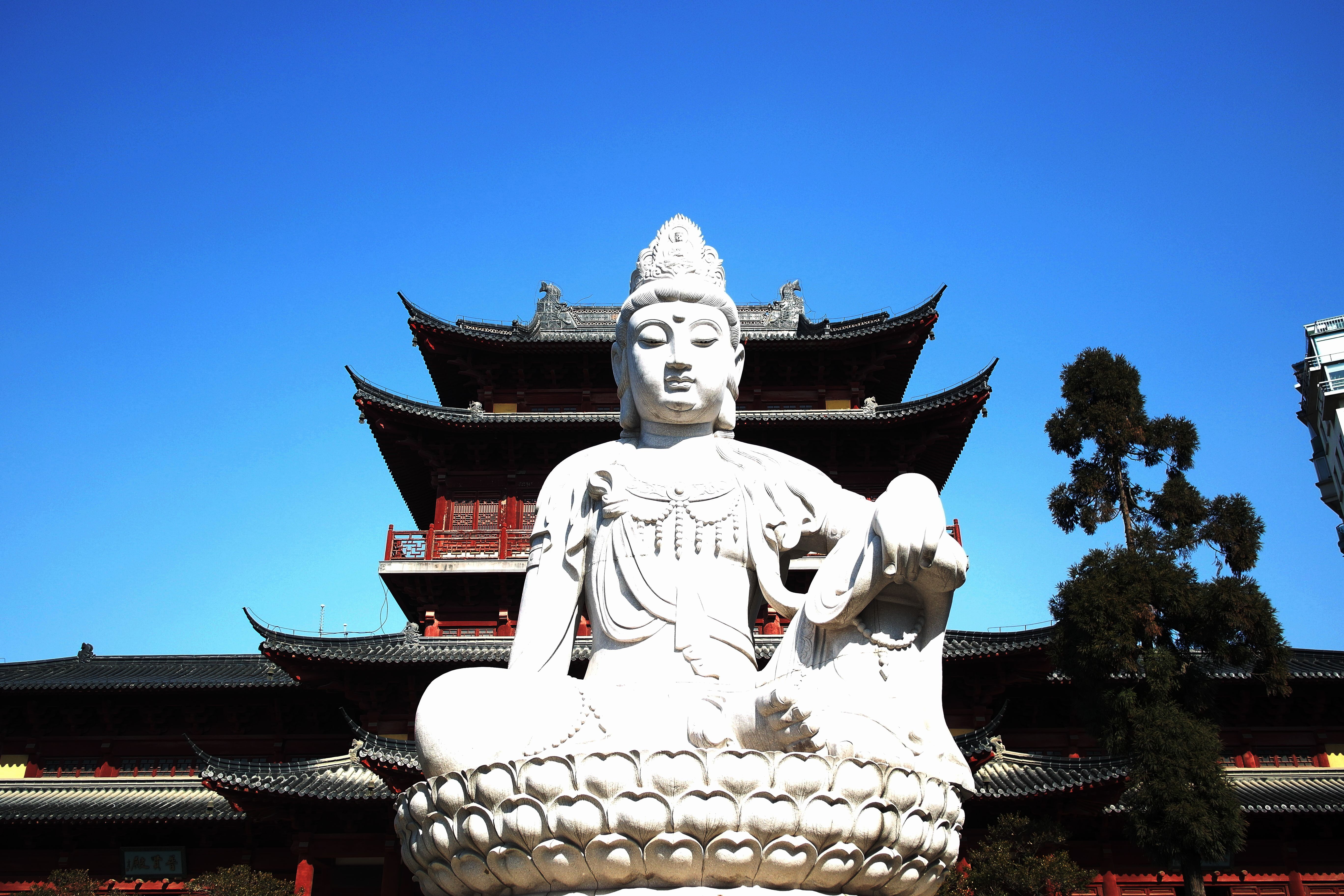 南京又见观世音菩萨,宝相庄严,见者增福