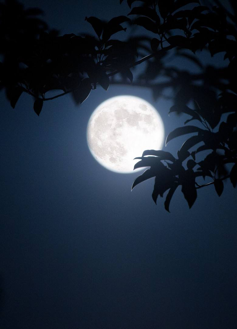 戊戍中秋对月有感