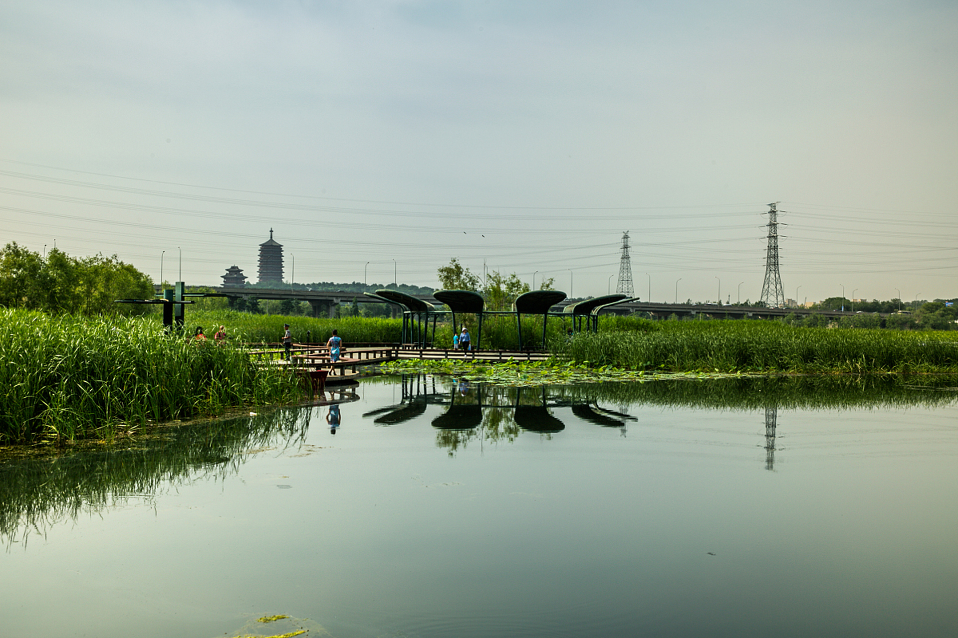 高邮湖风景图图片