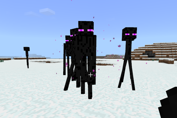 我的世界:生物运动会即将开始,谁能获得赛跑组的冠军呢?