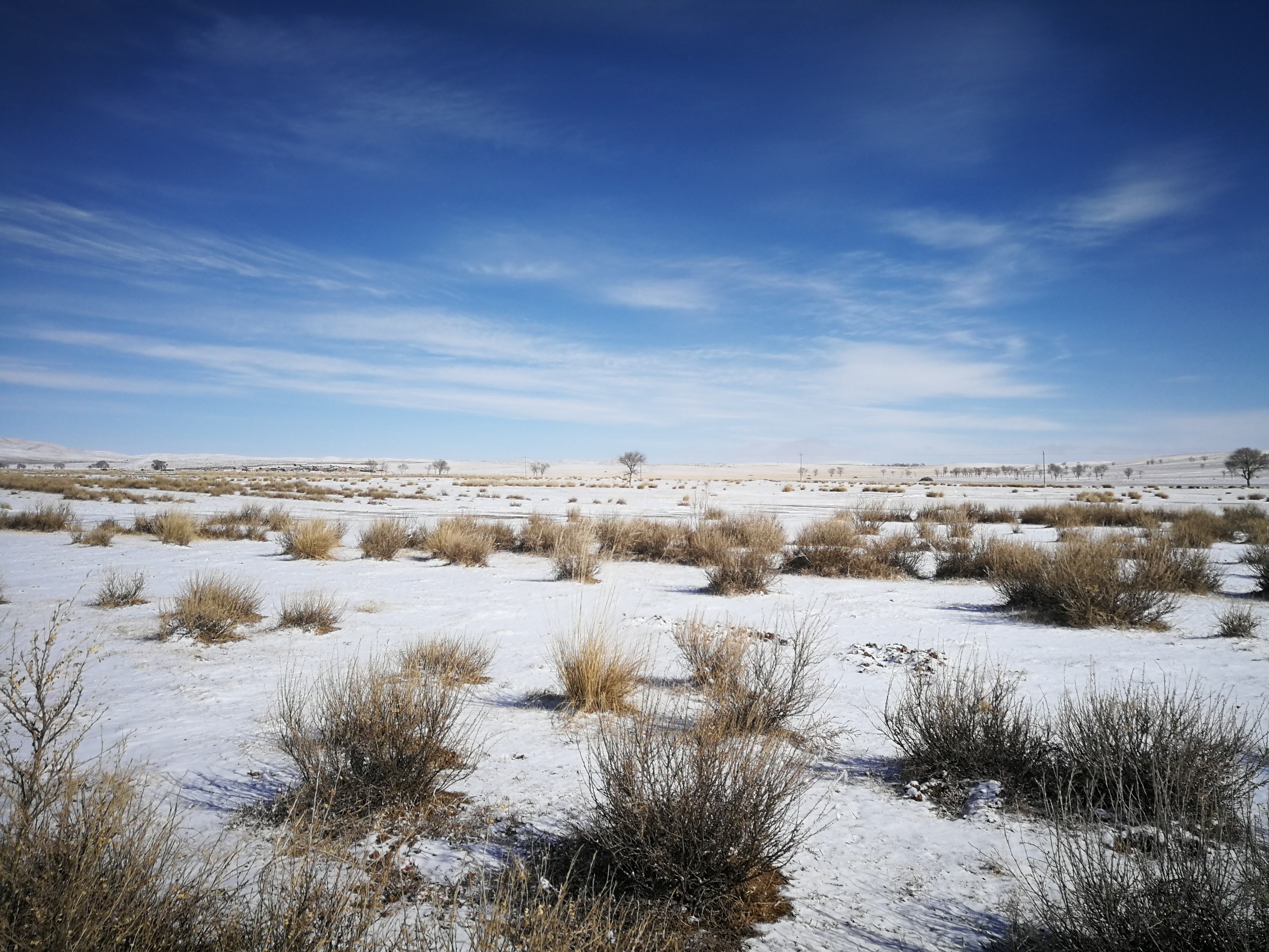 环境部:吉林洮南市万顷草原破坏严重
