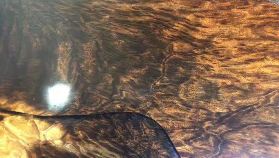 乌木木 - 热门商品专区