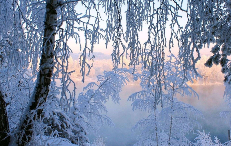 冬天的小精灵——雪也从天上跳着美丽的舞蹈.
