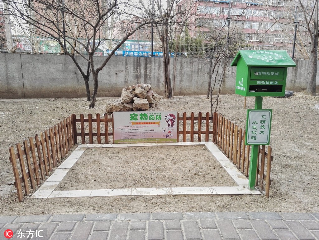 这几个专门为"汪星人"准备的公厕.整个宠物公厕呈长方形,面积达2.7平