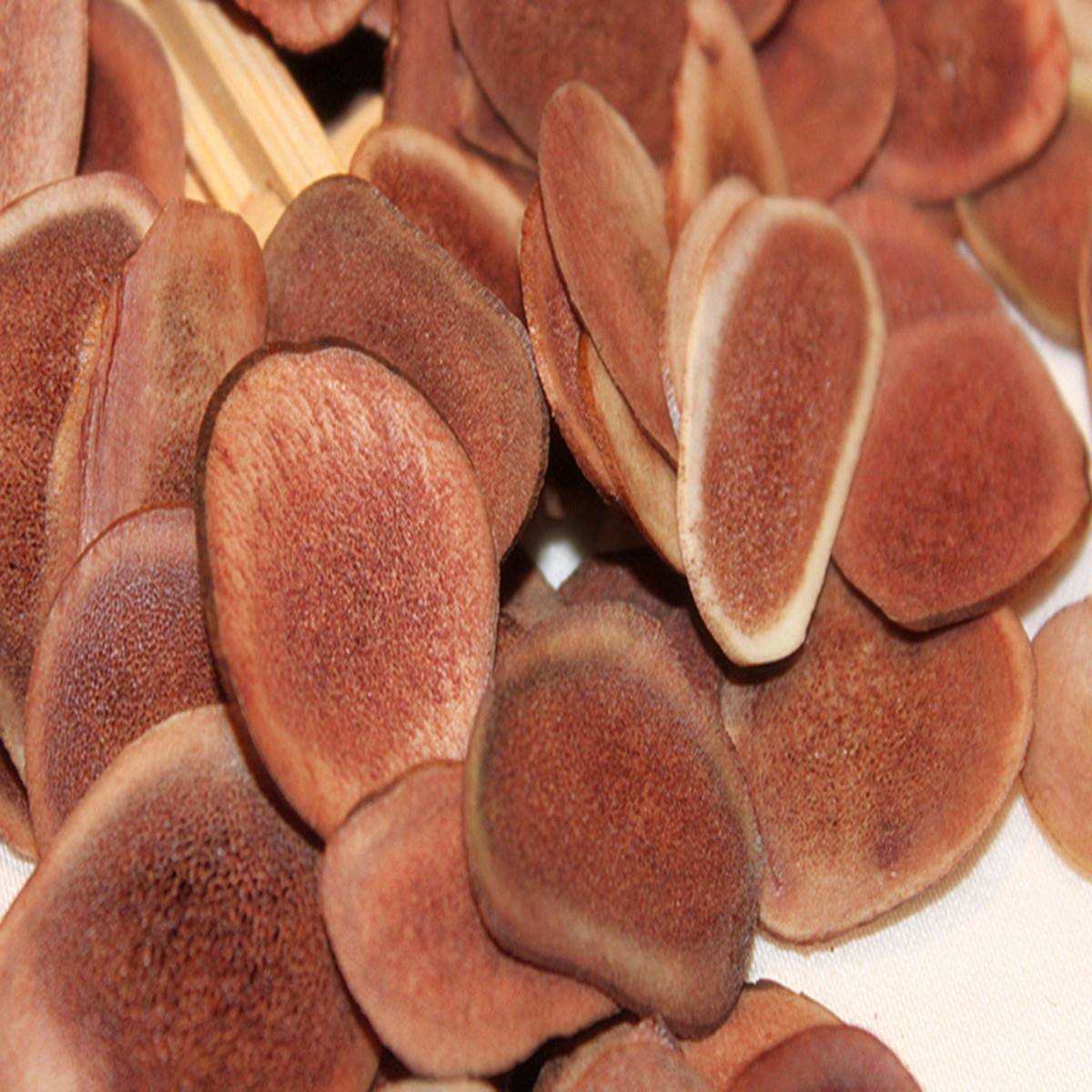 鹿茸- 热门商品专区