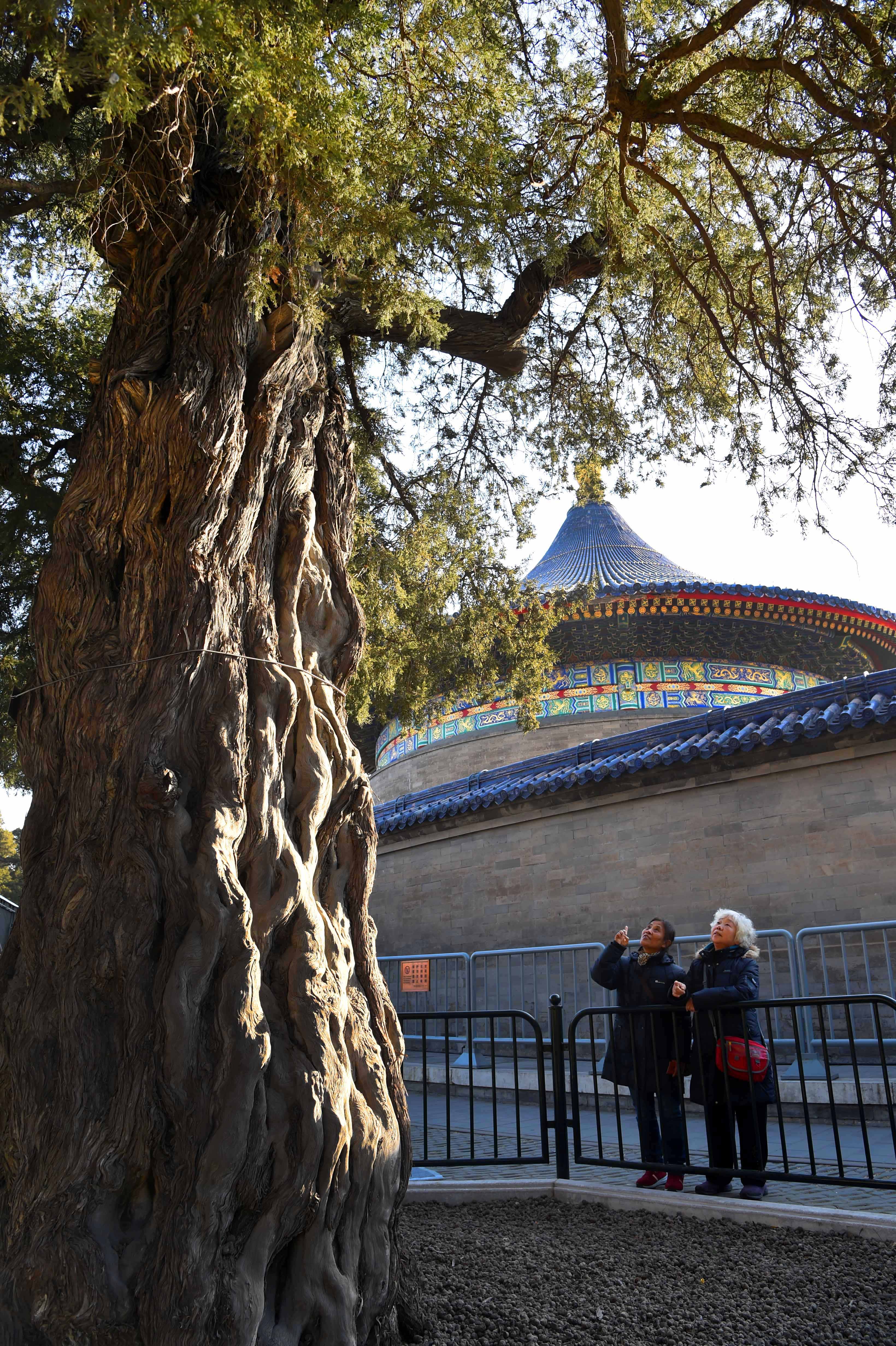 北京園林綠化局發佈北京