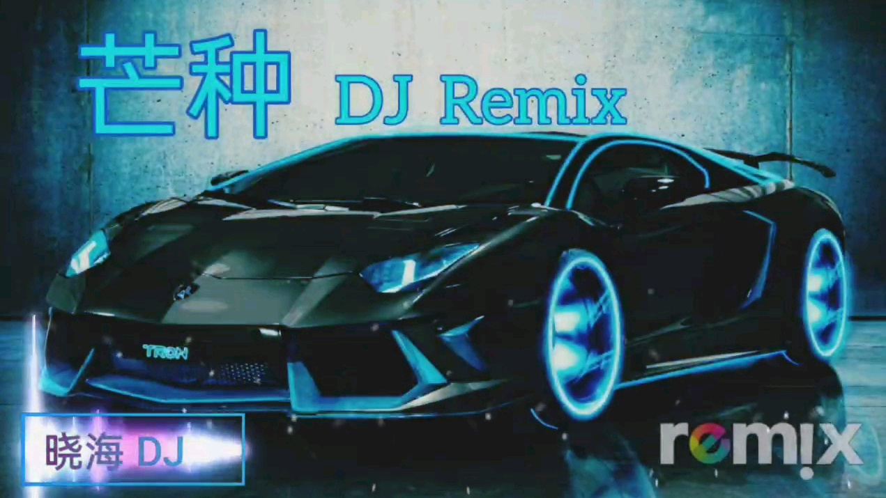 [图]《芒种》DJ晓海Remix