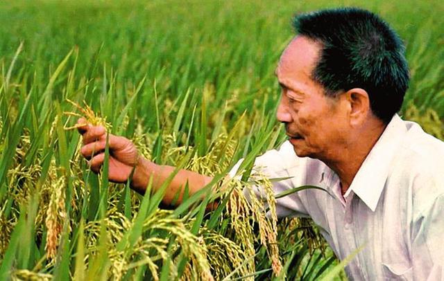 改革先锋风采 包起帆:改革开放中的中国工人创新先锋